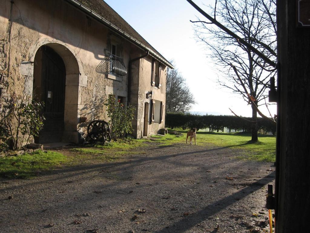 Chez Robert Et Catherine Dompierre-sur-Mont Pokoj fotografie